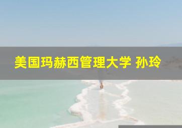 美国玛赫西管理大学 孙玲